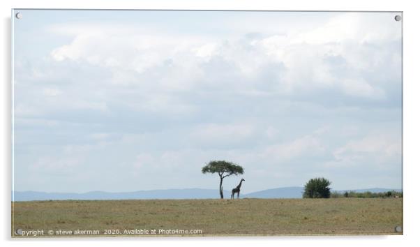 Giraffe in the wilderness. Acrylic by steve akerman