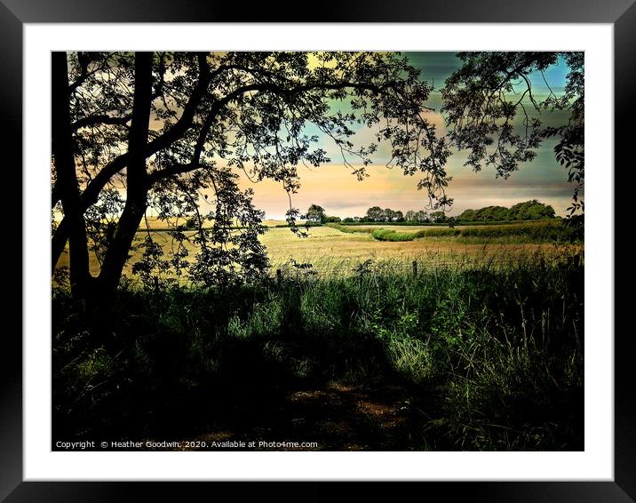 In the Shade Framed Mounted Print by Heather Goodwin