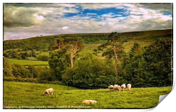 "Bucolic Yorkshire" Print by ROS RIDLEY