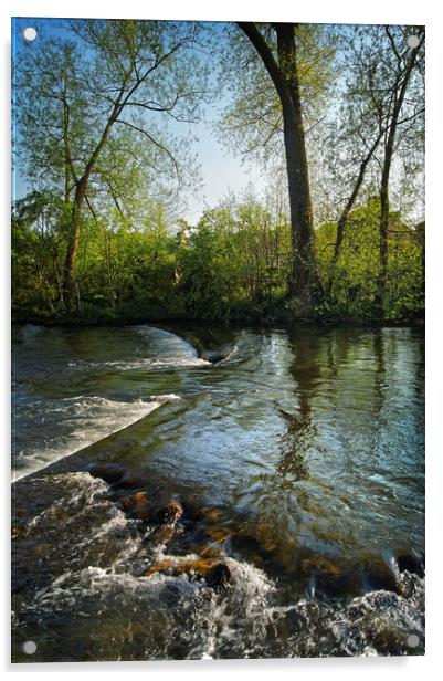 River Wye at Bakewell            Acrylic by Darren Galpin