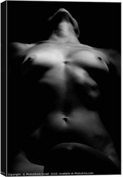 Artistic female nude photography  Canvas Print by PhotoStock Israel