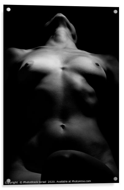 Artistic female nude photography  Acrylic by PhotoStock Israel