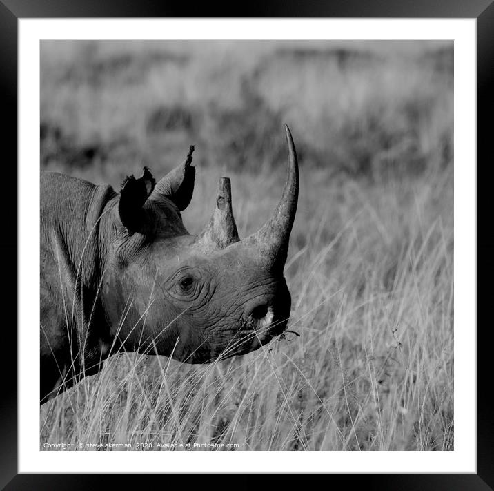 Black Rhino Framed Mounted Print by steve akerman