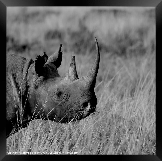 Black Rhino Framed Print by steve akerman