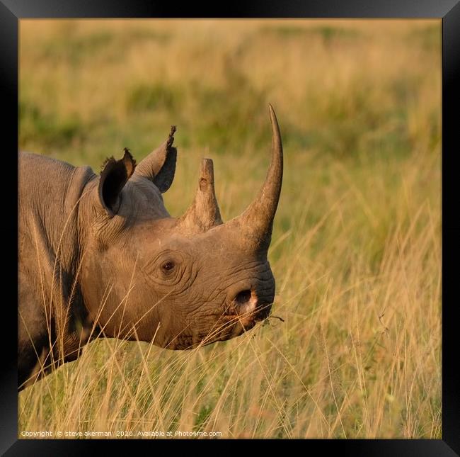 Rhino posing. Framed Print by steve akerman