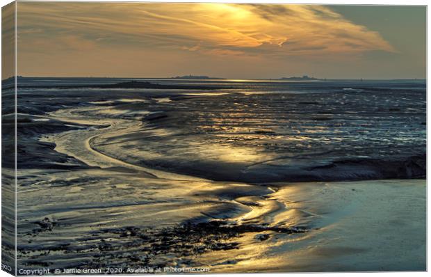 The Mudflats Canvas Print by Jamie Green