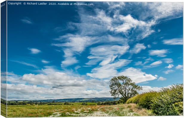 Ox-Eyes and Cirrus Canvas Print by Richard Laidler