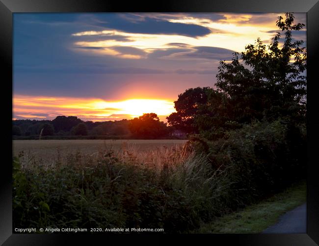Sunset Over the Fields Framed Print by Angela Cottingham