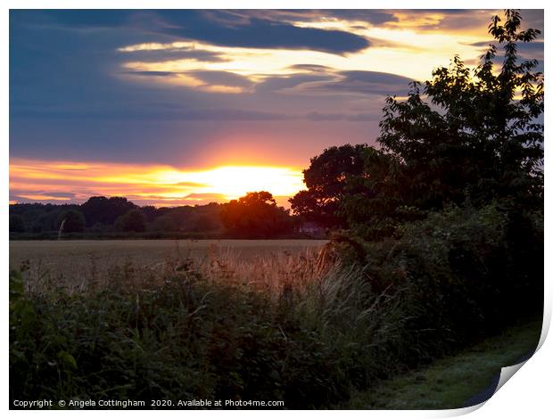 Sunset Over the Fields Print by Angela Cottingham