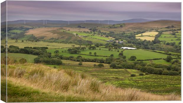 Wind turbines on the Betws Mountain Canvas Print by Leighton Collins