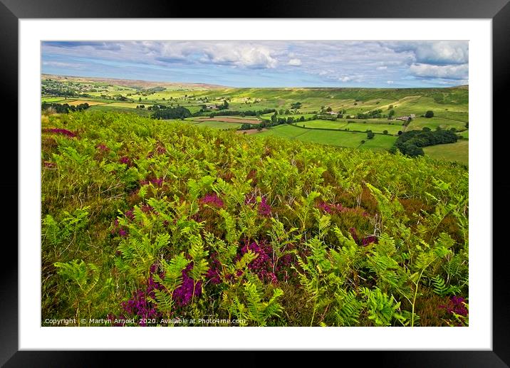 Ferns and Heather on the North York Moors Framed Mounted Print by Martyn Arnold
