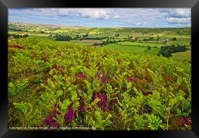 Ferns and Heather on the North York Moors Framed Print by Martyn Arnold