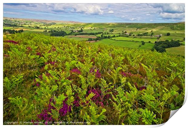 Ferns and Heather on the North York Moors Print by Martyn Arnold