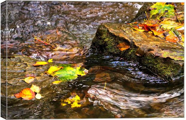 Clear Water around the Stepping Stones Canvas Print by Jim Jones