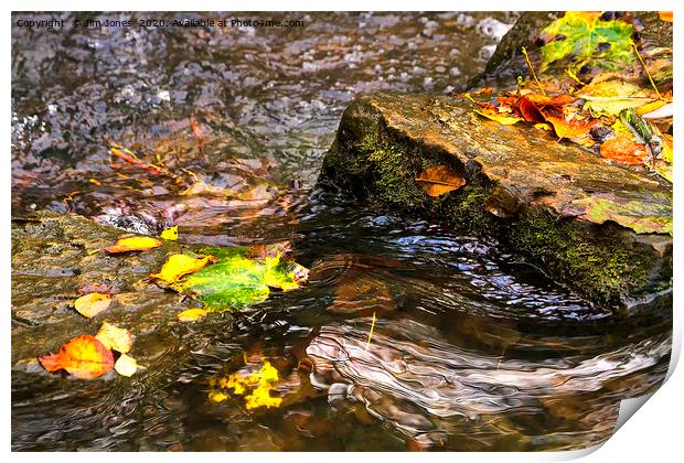 Clear Water around the Stepping Stones Print by Jim Jones