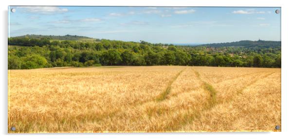 Barley Valley View Acrylic by Malcolm McHugh