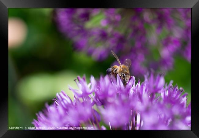 Busy Bee hard at work Framed Print by Kasia Design