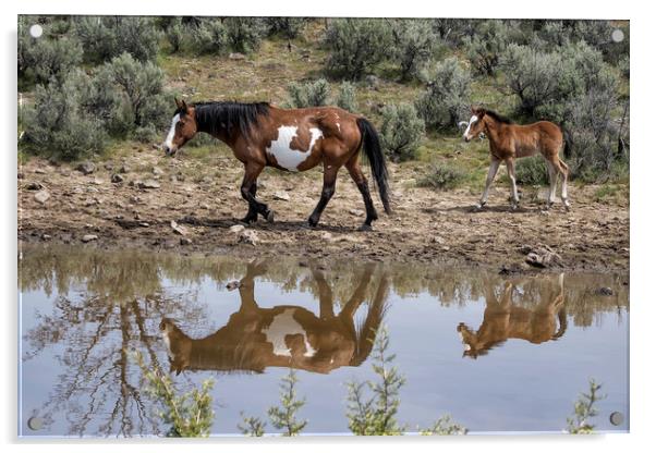 Matching Pair - South Steens Mustangs Acrylic by Belinda Greb