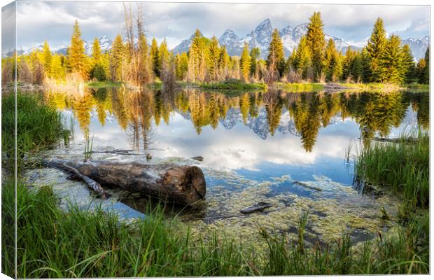 Another View of the Tetons from the Schwabacher La Canvas Print by Belinda Greb