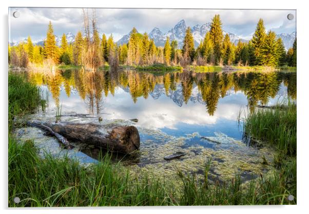 Another View of the Tetons from the Schwabacher La Acrylic by Belinda Greb