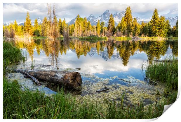 Another View of the Tetons from the Schwabacher La Print by Belinda Greb