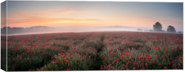 Poppy Perfection Canvas Print by David Semmens
