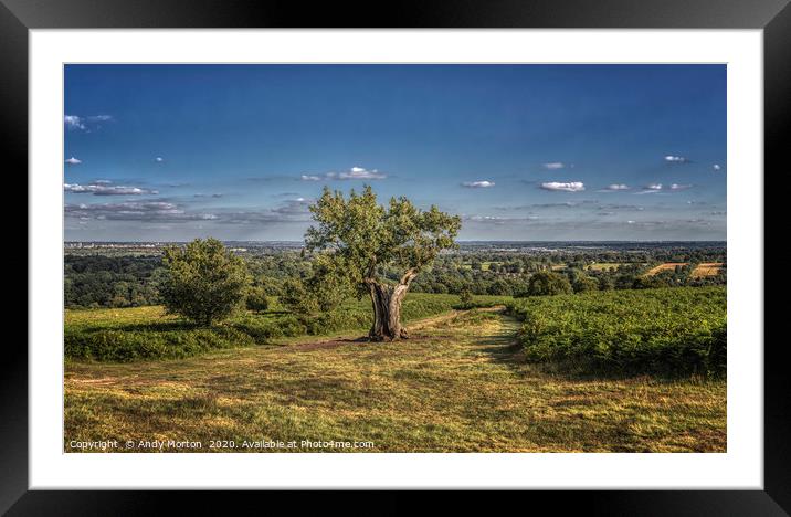 View Leicester From Bradgate Park Framed Mounted Print by Andy Morton