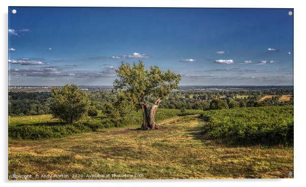 View Leicester From Bradgate Park Acrylic by Andy Morton