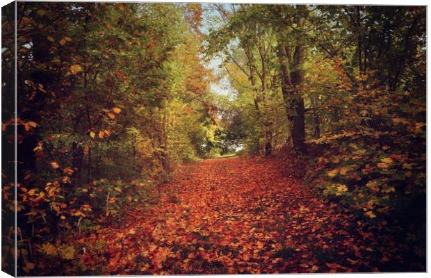 autumnal path in the forest  Canvas Print by Luisa Vallon Fumi