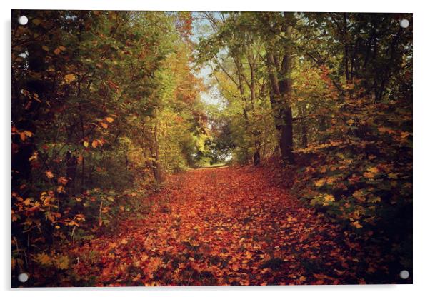 autumnal path in the forest  Acrylic by Luisa Vallon Fumi