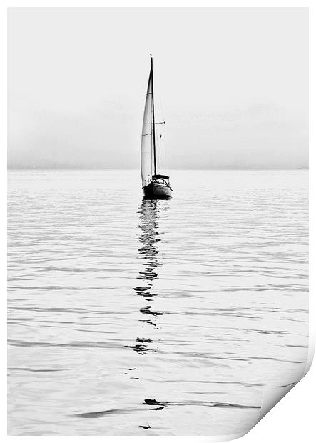 sailboat on calm waters Print by Luisa Vallon Fumi