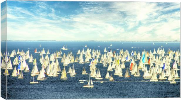 Regatta, white sails in the wind Canvas Print by Luisa Vallon Fumi
