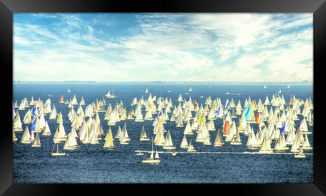 Regatta, white sails in the wind Framed Print by Luisa Vallon Fumi
