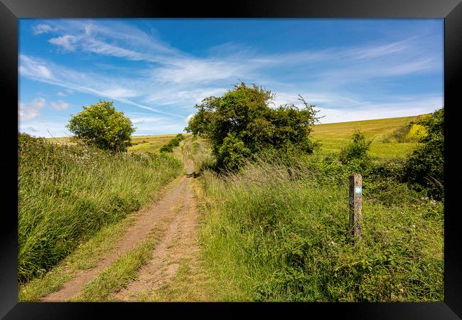 Monarch's Way Climb Framed Print by Malcolm McHugh