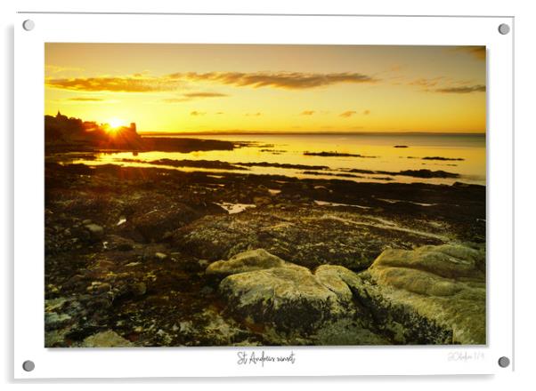 St Andrews sunset Acrylic by JC studios LRPS ARPS
