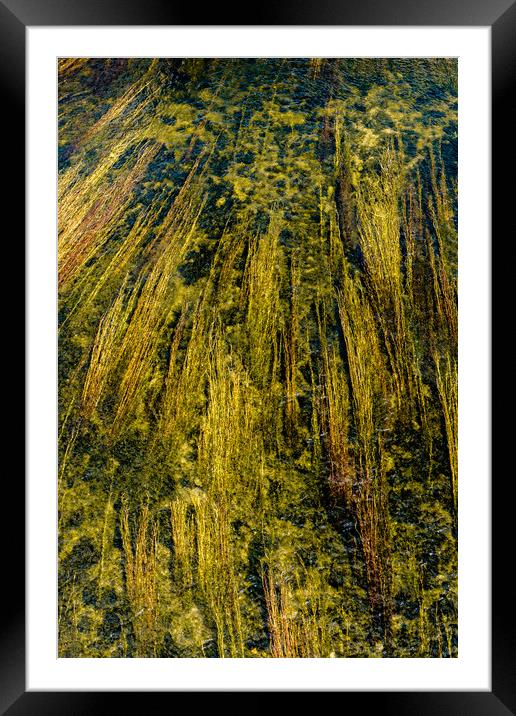 Abstract Danube Framed Mounted Print by DiFigiano Photography