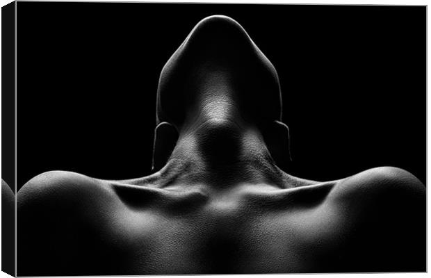Nude woman bodyscape 63 Canvas Print by Johan Swanepoel