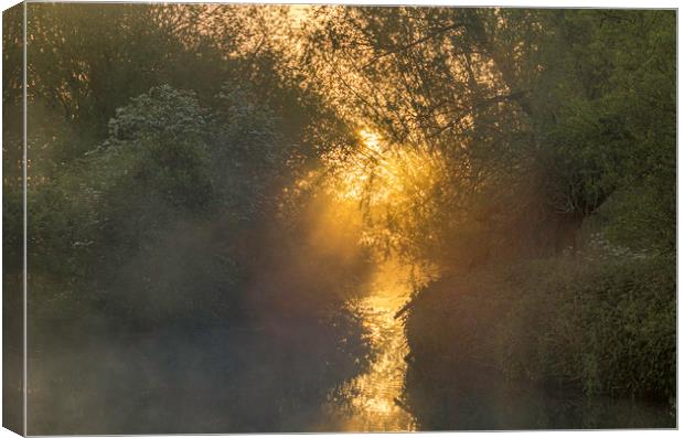 Grantchester Meadows, dawn, 10th May 2017 Canvas Print by Andrew Sharpe