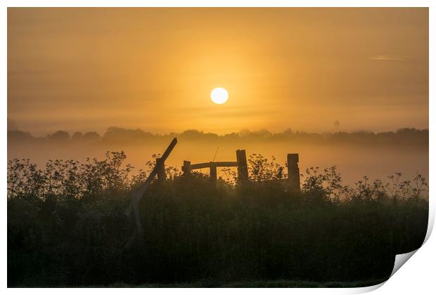 Grantchester Meadows, dawn, 10th May 2017 Print by Andrew Sharpe