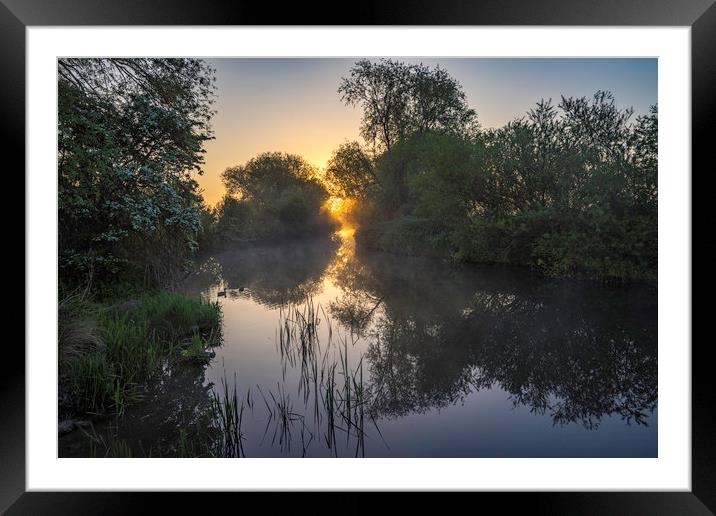 Grantchester Meadows, dawn, 10th May 2017 Framed Mounted Print by Andrew Sharpe