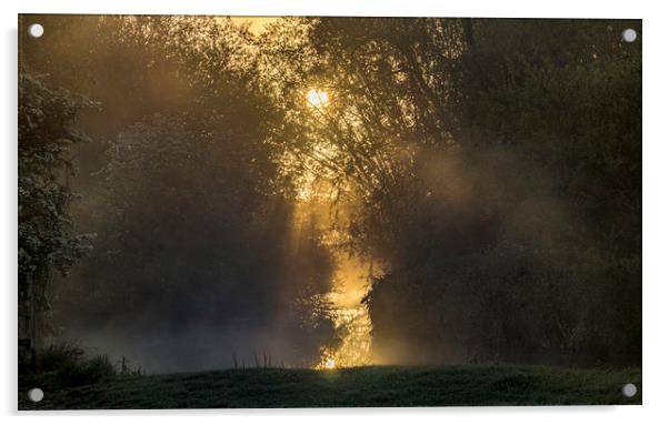Grantchester Meadows, dawn, 10th May 2017 Acrylic by Andrew Sharpe