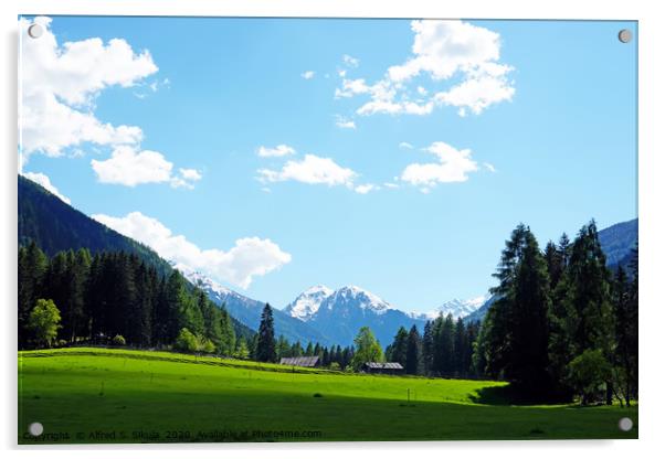 Italian Alps in the province of Trentino Acrylic by Alfred S. Sikula