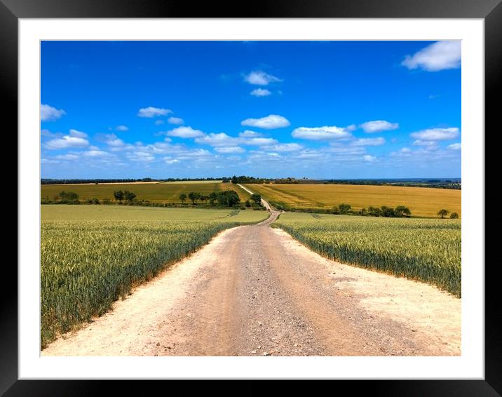 Endless Summer Fields Framed Mounted Print by Simon Marlow