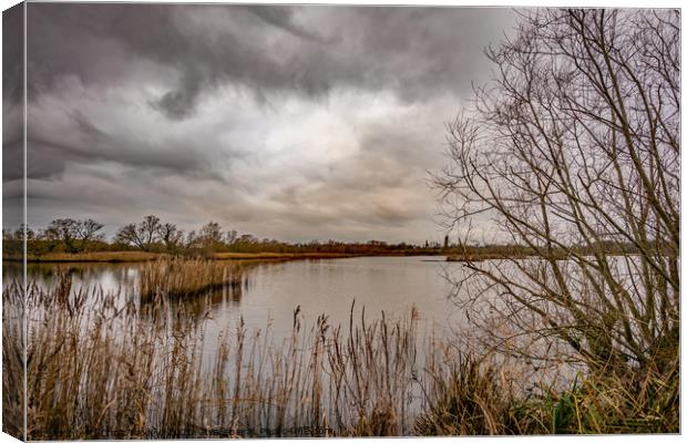 A view across Rockland Broad, Norfolk Canvas Print by Chris Yaxley