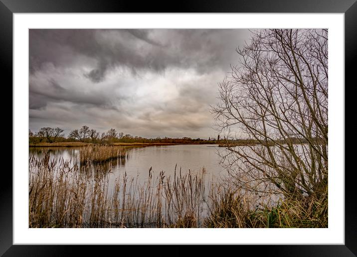 A view across Rockland Broad, Norfolk Framed Mounted Print by Chris Yaxley