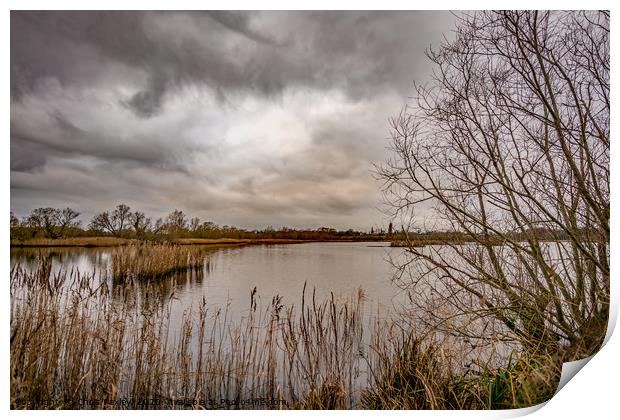 A view across Rockland Broad, Norfolk Print by Chris Yaxley
