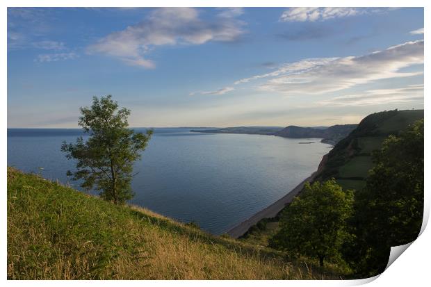 From Dunscombe Hill to Sidmouth Print by Pete Hemington