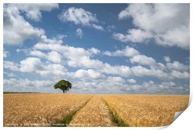 Summer Field and Tree Print by Rick Bowden