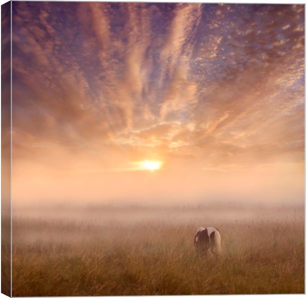 Sunrise over the Marsh Canvas Print by Adrian Campfield