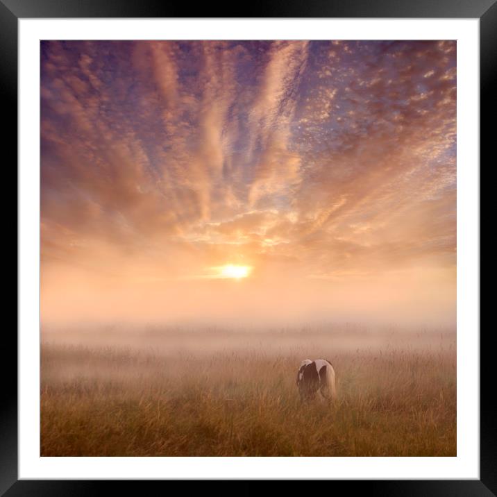 Sunrise over the Marsh Framed Mounted Print by Adrian Campfield